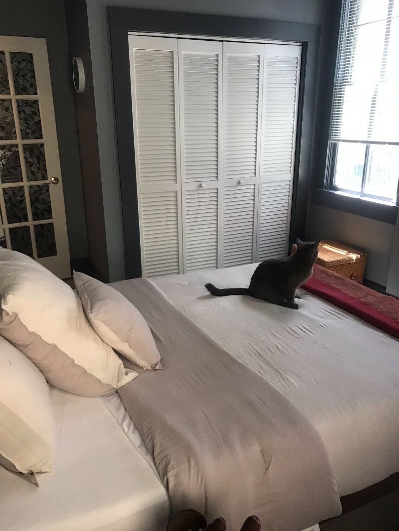 Furnished Finder property 348436_1 photo 9