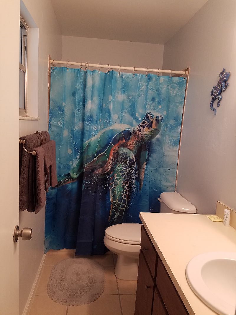 Furnished Finder property 348443_1 photo 14