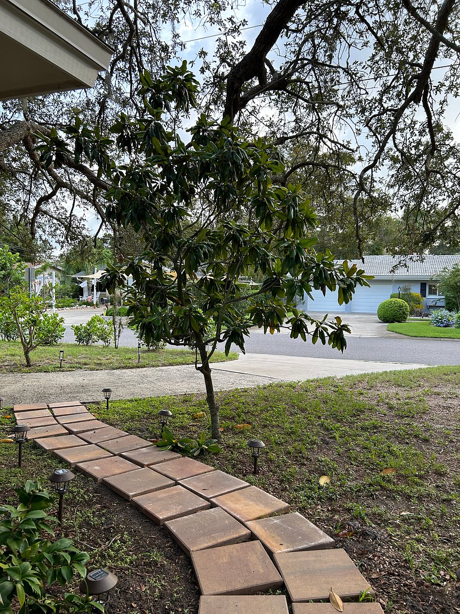 Furnished Finder property 348533_1 photo 14