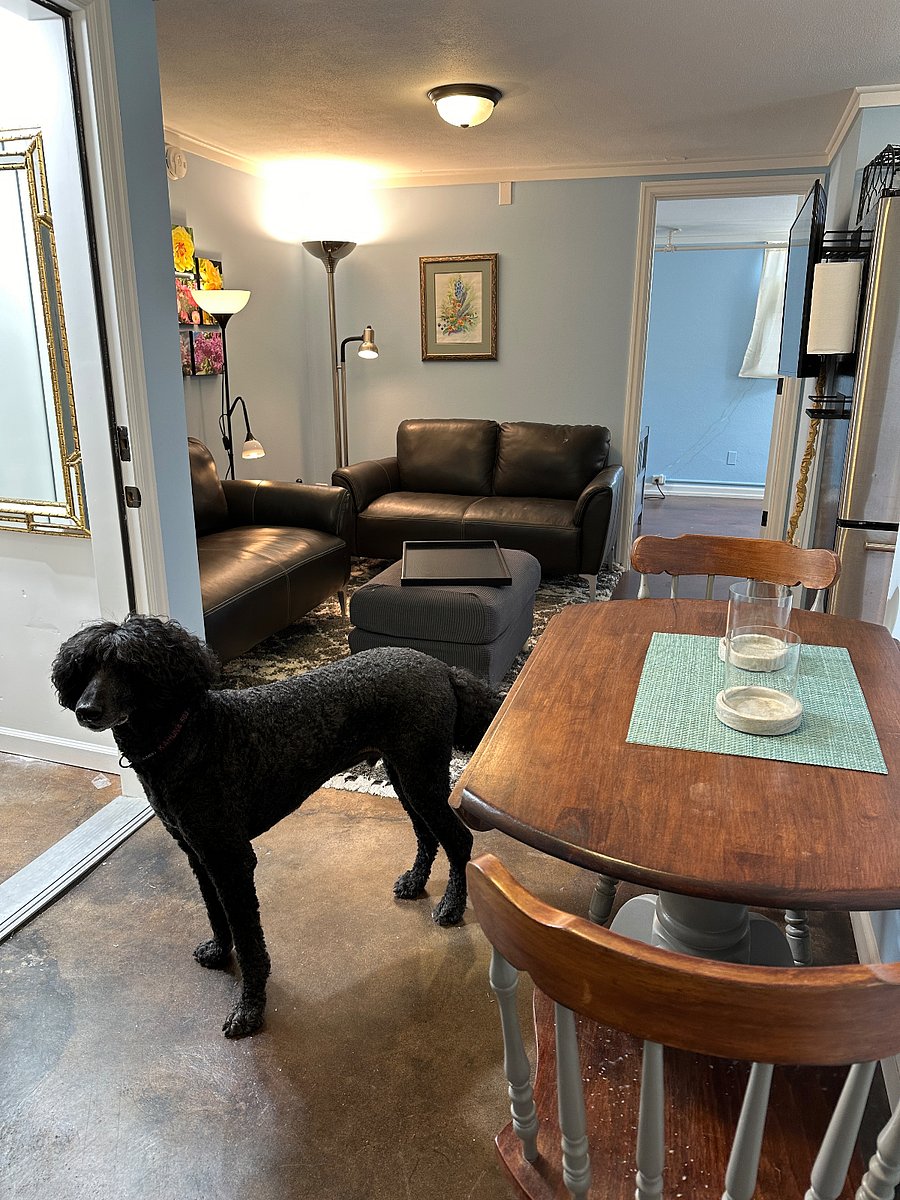 Furnished Finder property 348562_1 photo 5