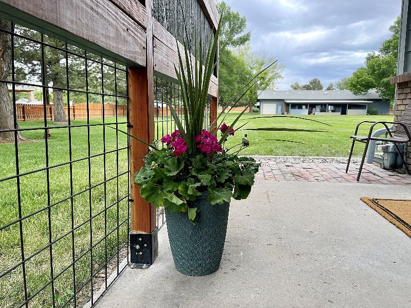 Back patio opens up into large grassy common area