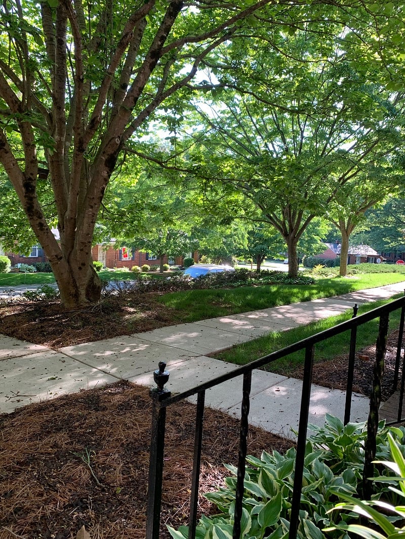 View from front entry way to street.
