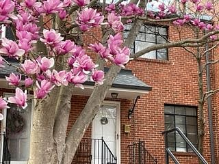 Front entrance in the spring.