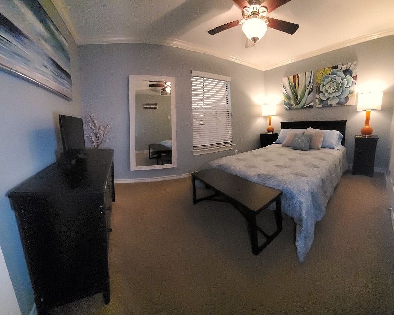 Furnished Finder property 348717_1 photo 10