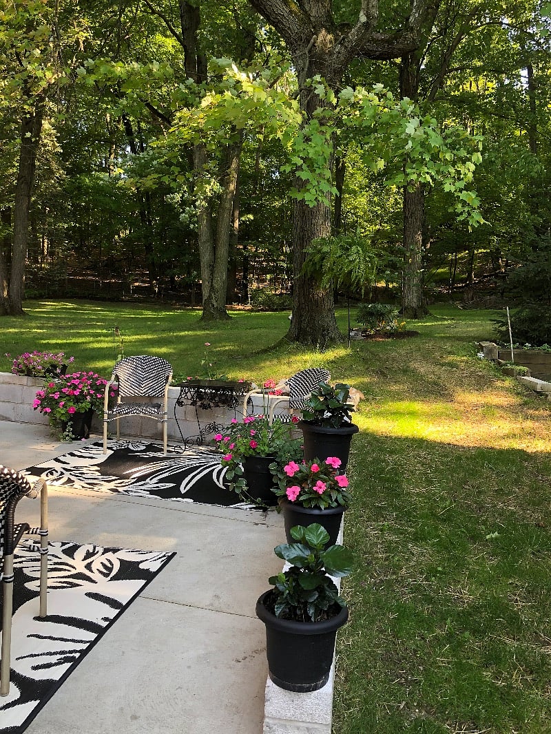 Furnished Finder property 348749_1 photo 21