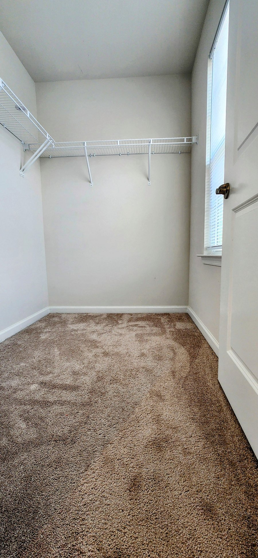 Furnished Finder property 349061_2 photo 4
