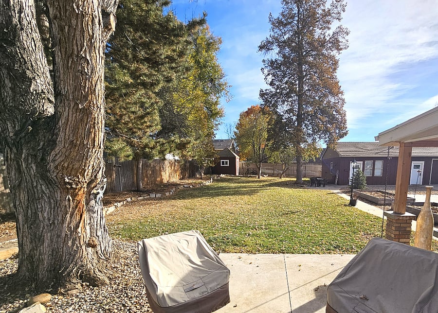 Dogs are welcome to play in the large yard between the main house and the detached carriage hose. Relax in the hammock under the apple trees