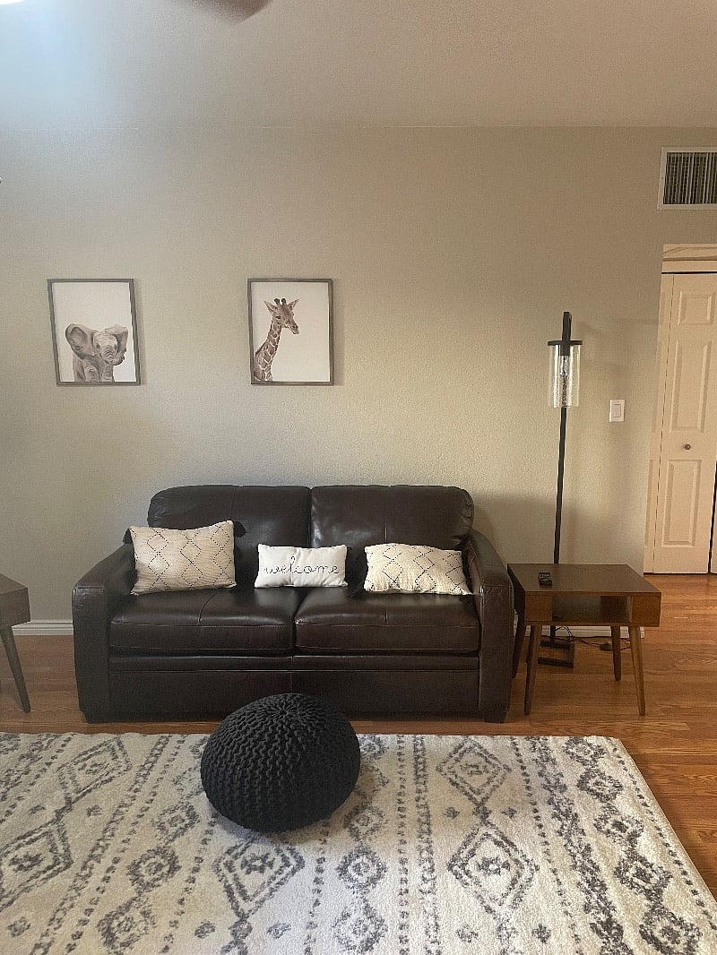 Pull out sleeper sofa