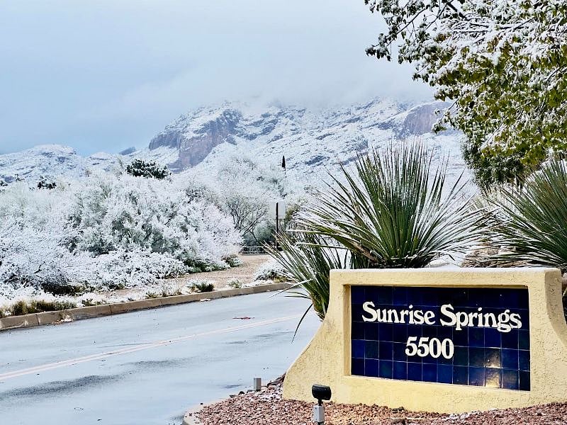 2023 Snow - Not very often do we get snow but when we do it is gorgeous!
Don't let it deter your visit it really is a treat and only lasts a day or less! 