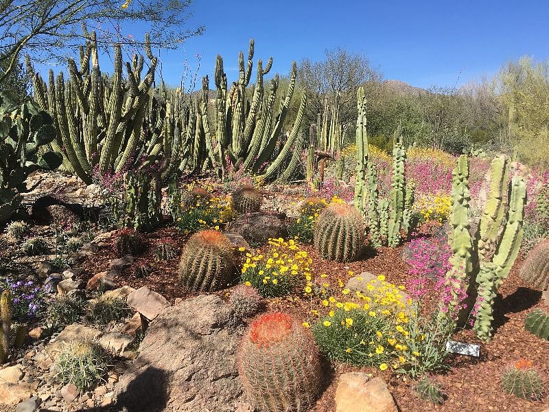 Sabino Canyon - A short drive to a beautiful hike!