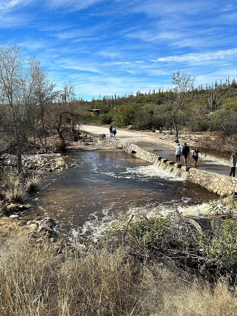 Sabino Canyon after some good rain!
