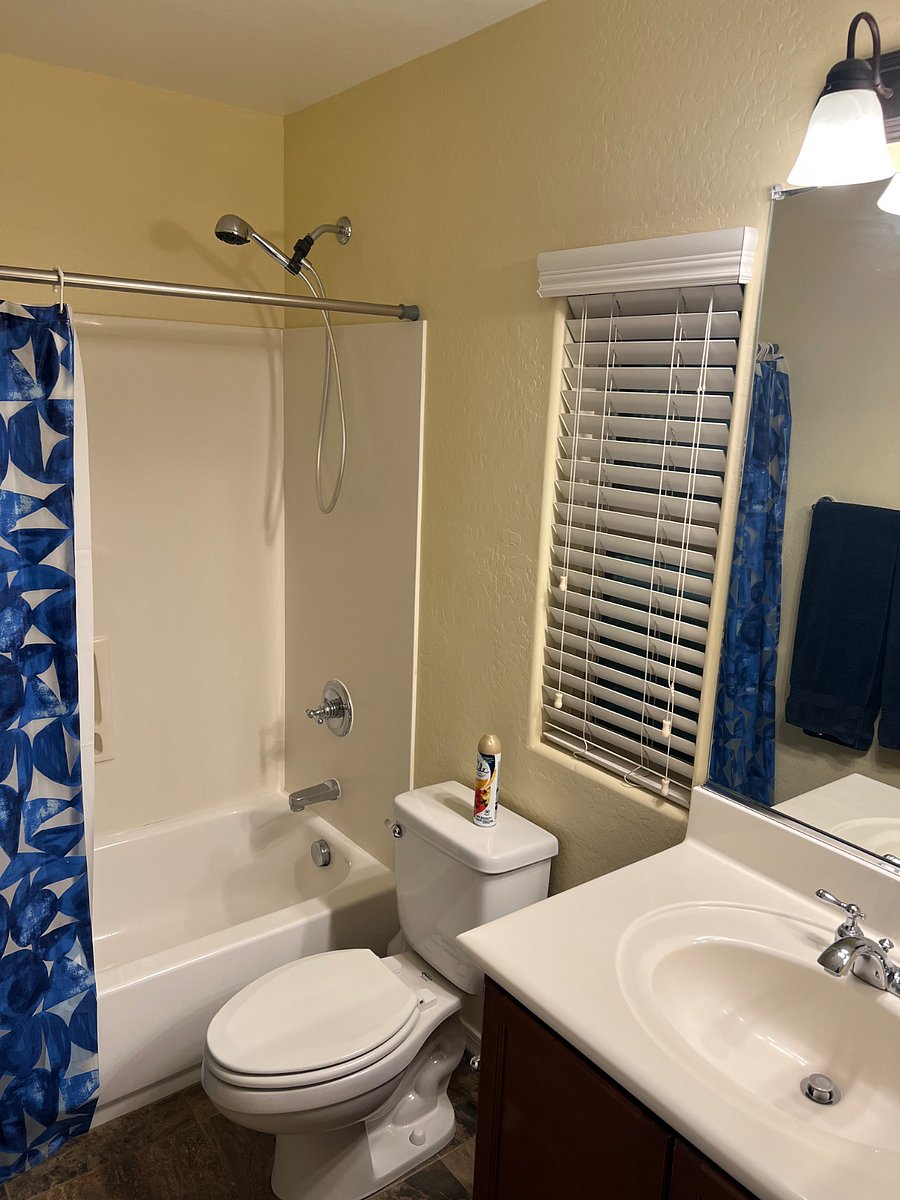 Furnished Finder property 349357_1 photo 19