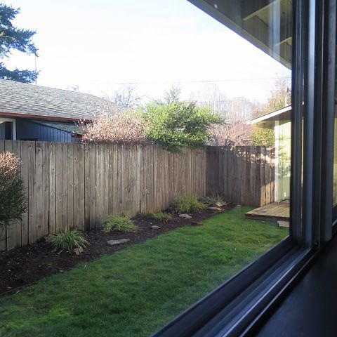 Fenced backyard