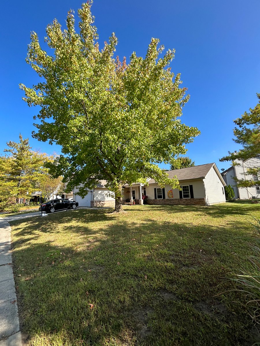 Furnished Finder property 349511_1 photo 11