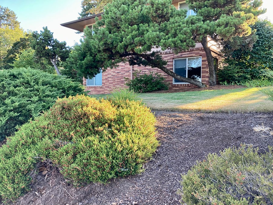 Furnished Finder property 349639_1 photo 15
