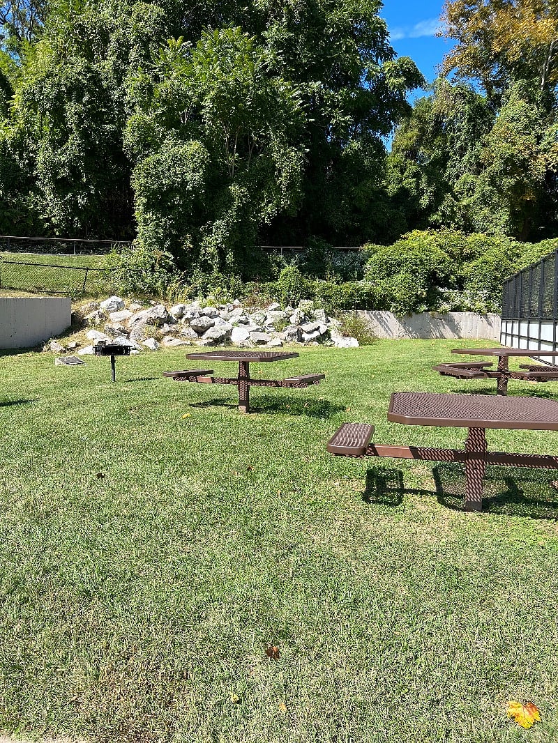 Furnished Finder property 349959_1 photo 13