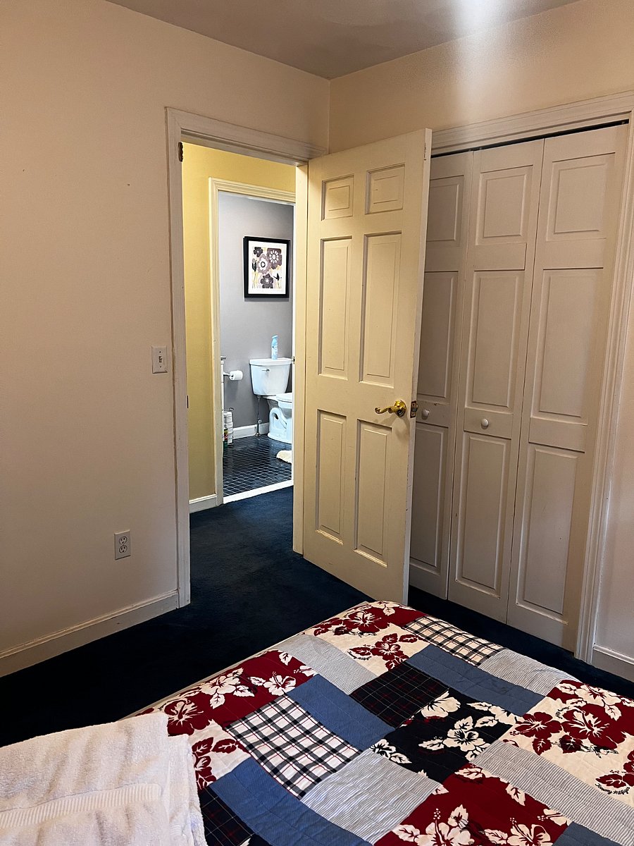 Furnished Finder property 350209_1 photo 15