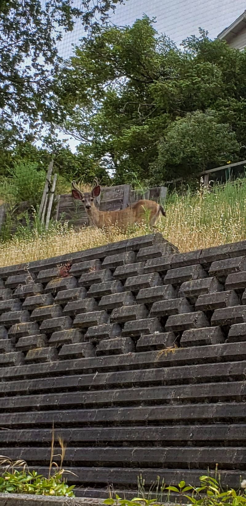 Porch - visiting friend :)