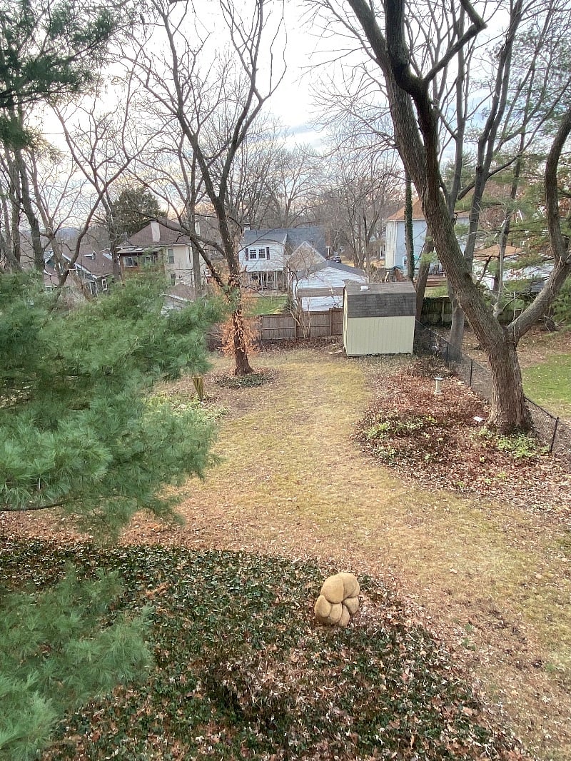 Furnished Finder property 350275_1 photo 11
