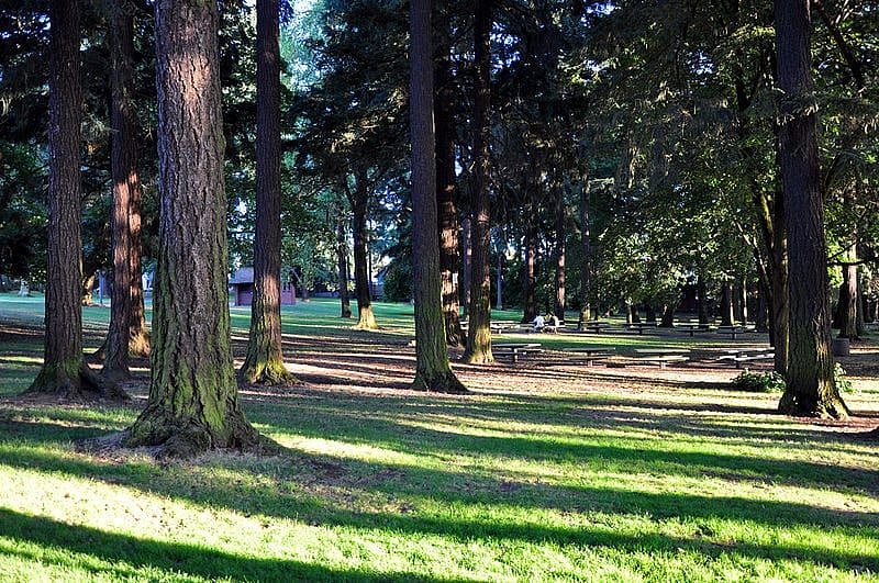 Kenilworth Park, a short walk away