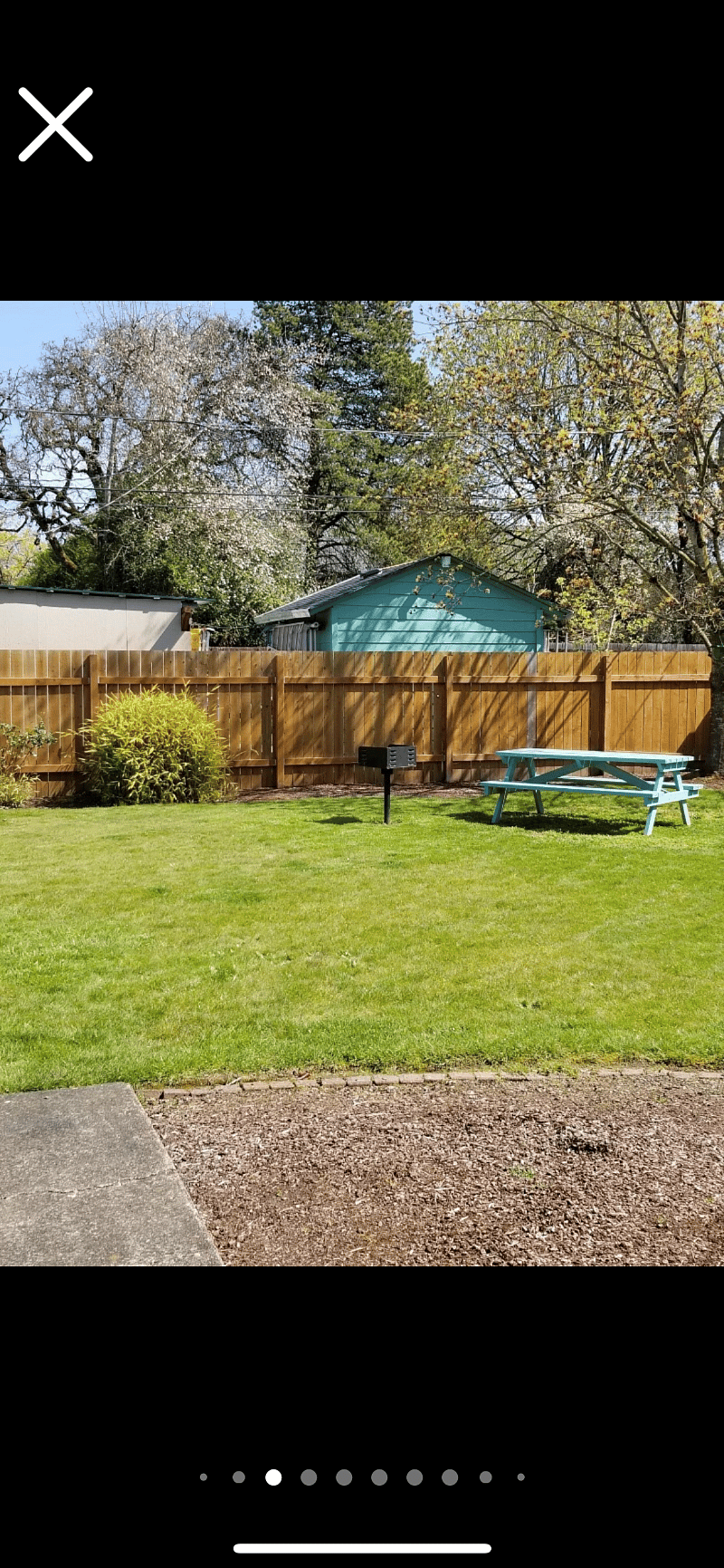 Picnic area with wood or charcoal grill and park-style grill under shade tree.