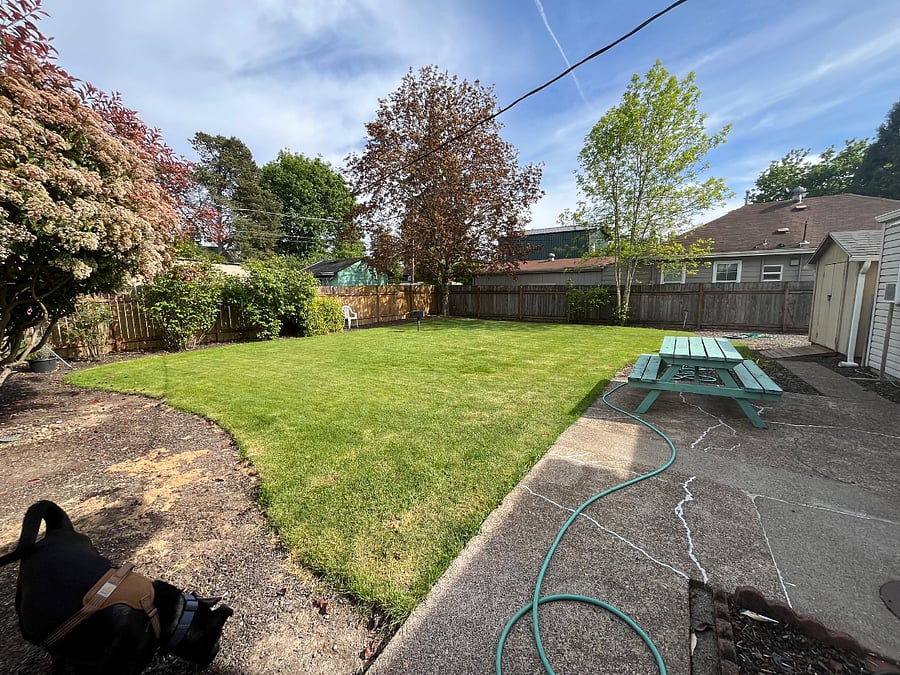 Furnished Finder property 350548_2 photo 18