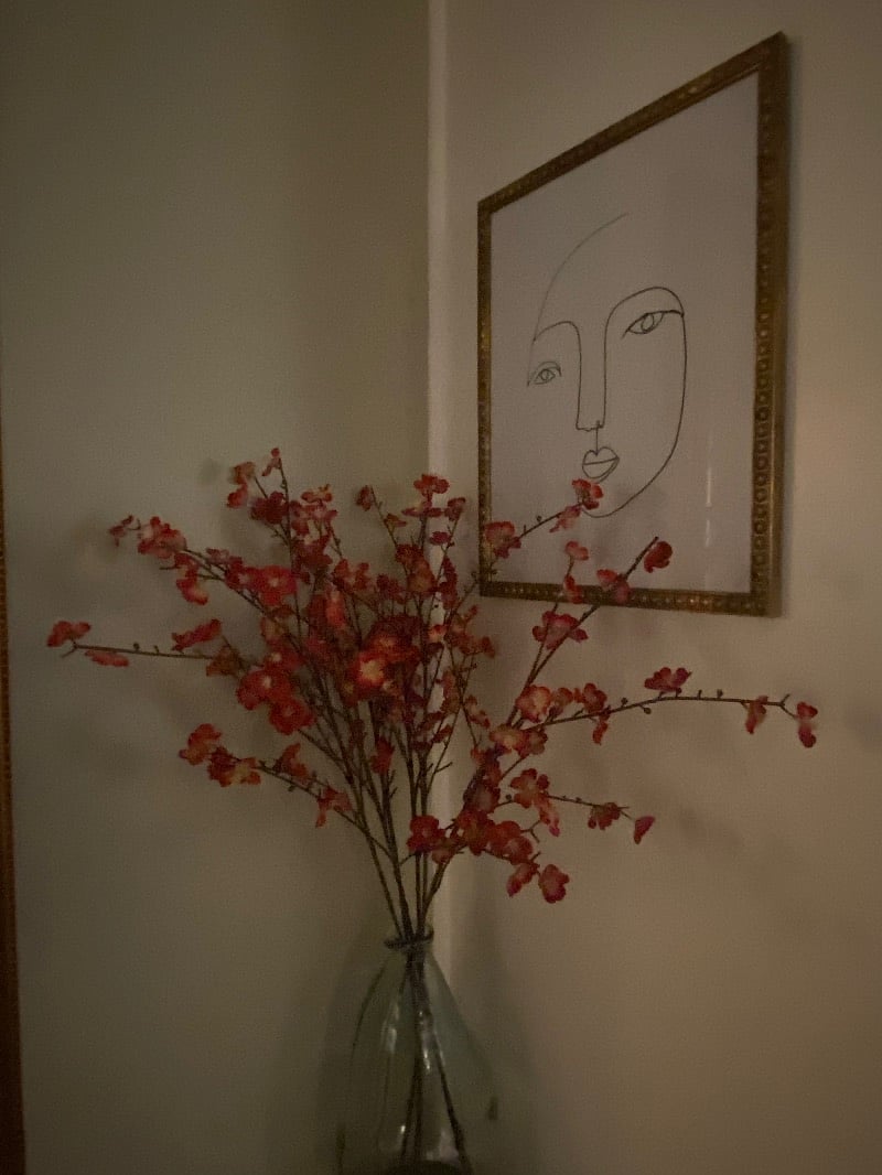 Furnished Finder property 350699_1 photo 5