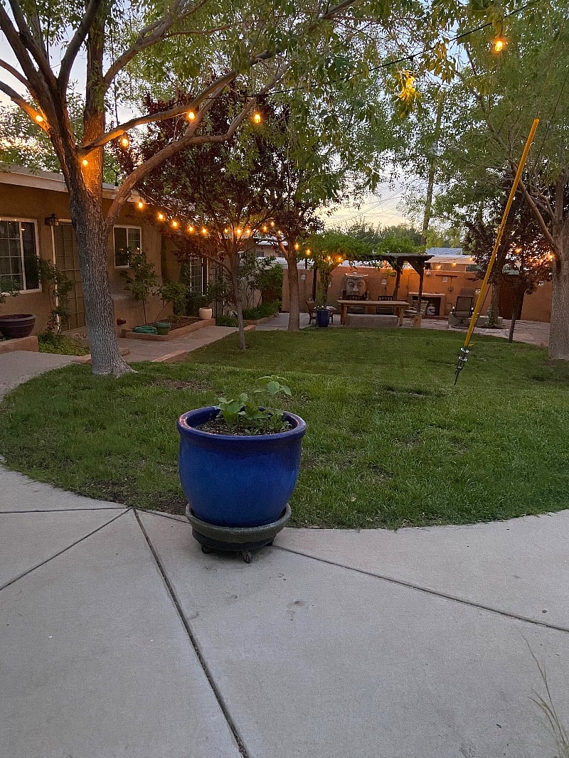 Furnished Finder property 350699_1 photo 3