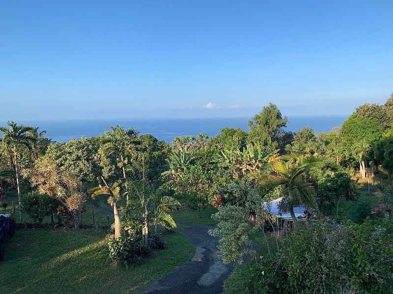 Furnished Finder property 350729_1 photo 12