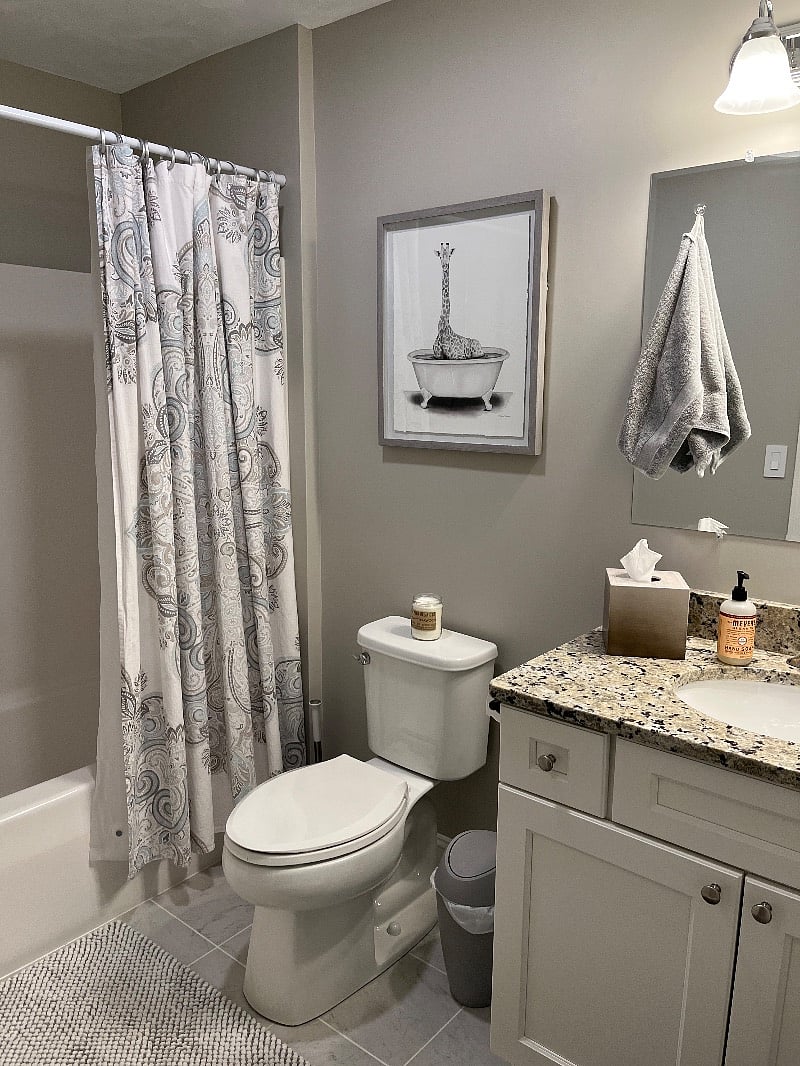 Furnished Finder property 350730_1 photo 9
