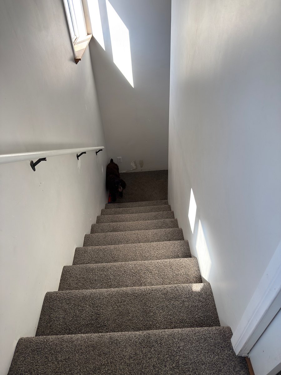 Furnished Finder property 350909_1 photo 13