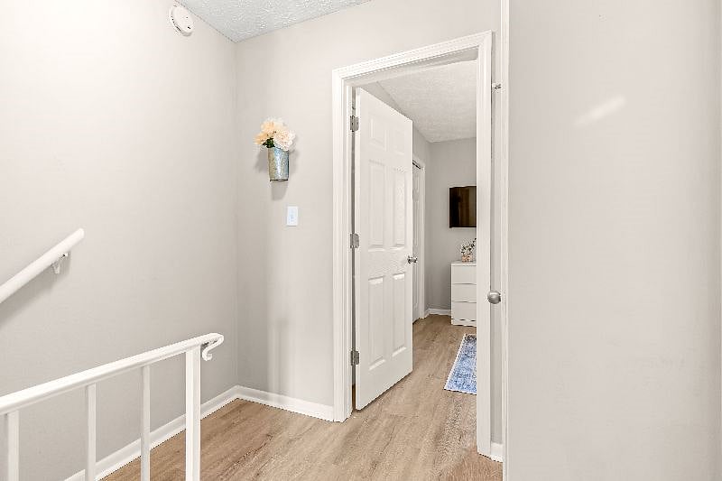 Furnished Finder property 351135_1 photo 21