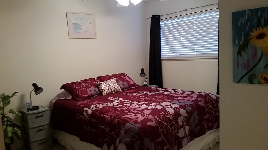 Furnished Finder property 351138_1 photo 14