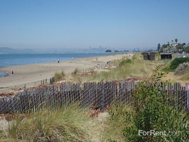 Furnished Finder property 351271_1 photo 13