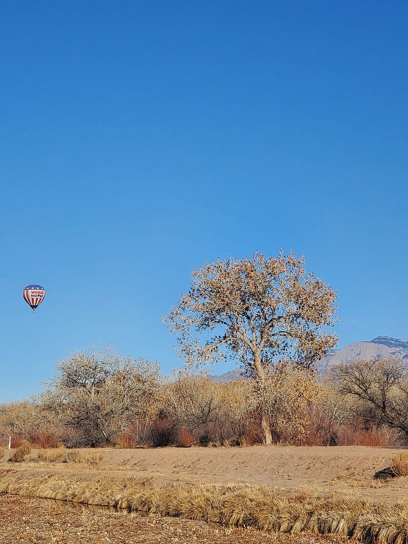 The area is popular for balloonist who take and land near the Bosque.