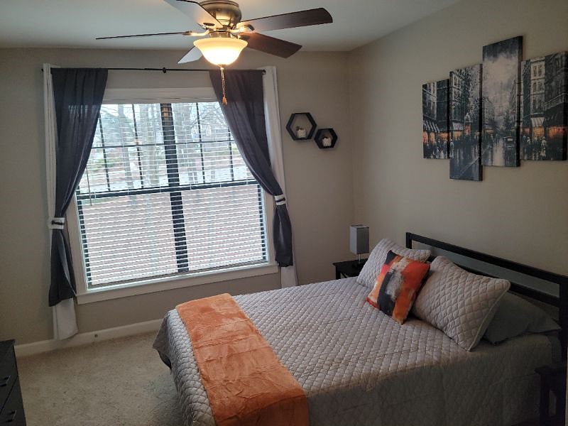 Furnished Finder property 351320_1 photo 5