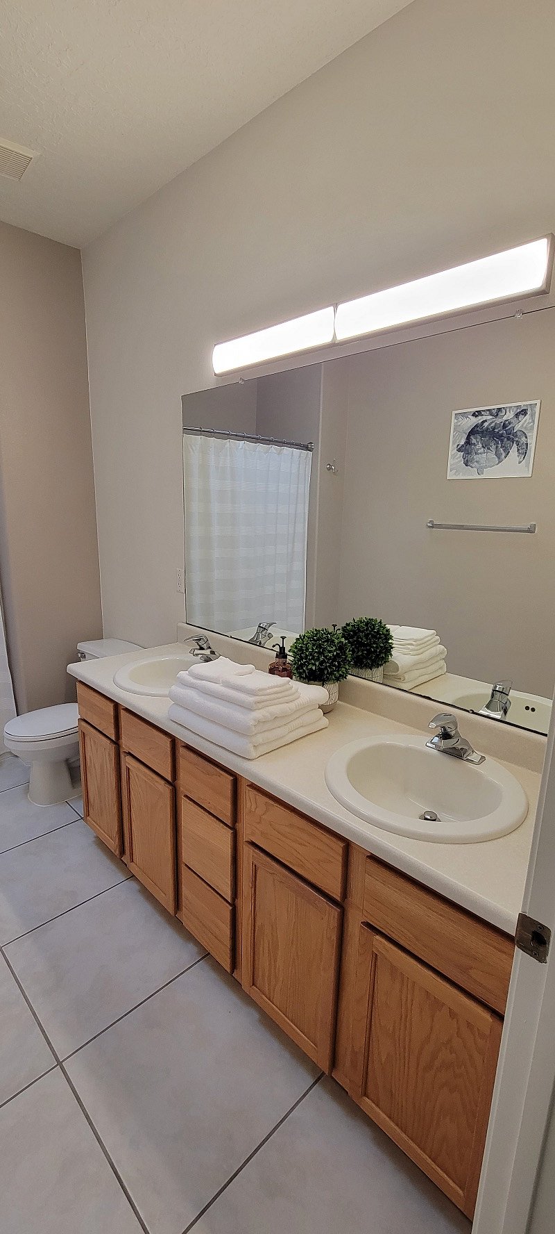 Furnished Finder property 351586_1 photo 19