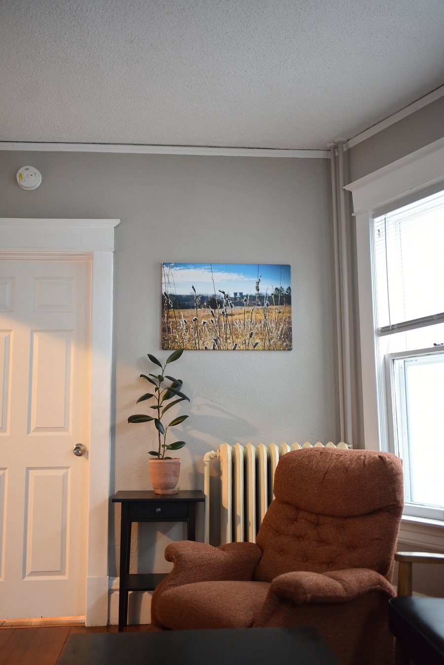 Good natural light in afternoon