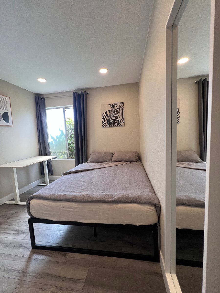 Furnished Finder property 351818_2 photo 7