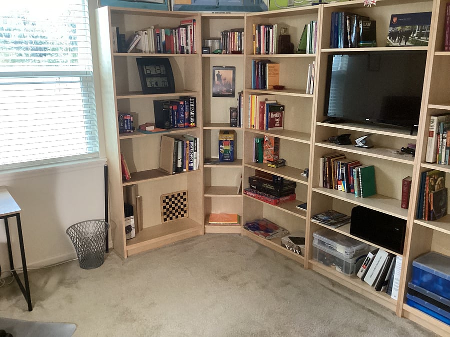 OFFICE/STUDY ROOM - View of bookshelves, TV and window.