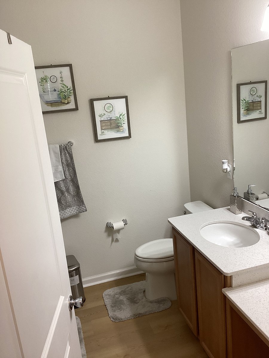 BATHROOM - View of sink, under-sink cupboard, mirror and toilet bowl.