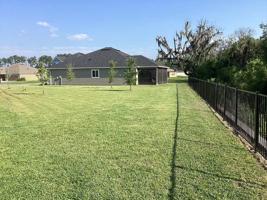 RIGHT GARDEN LAWN - View of house in the distance, back metal fence and back forrest.