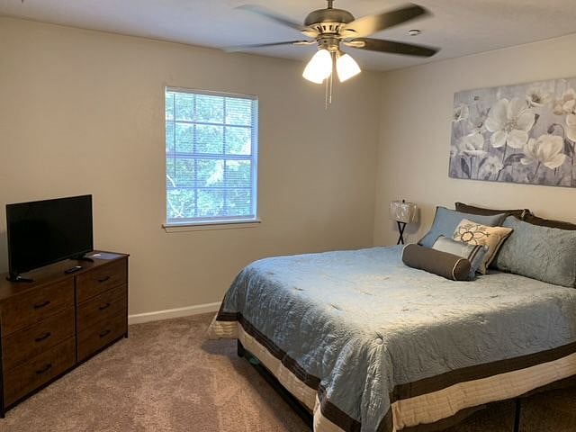 Furnished Finder property 352119_1 photo 6
