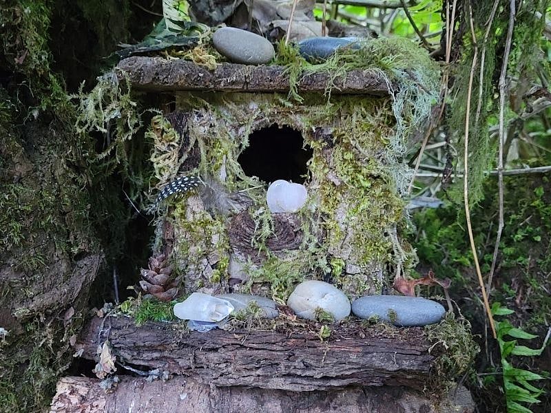 Magical Fairy Hut that appeared one day - located in the hollow of a tree on the Ridgeline Trail