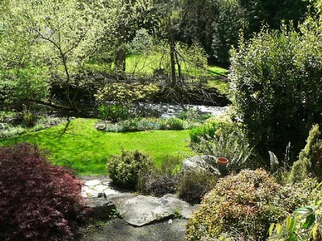View of the creek from the garden.