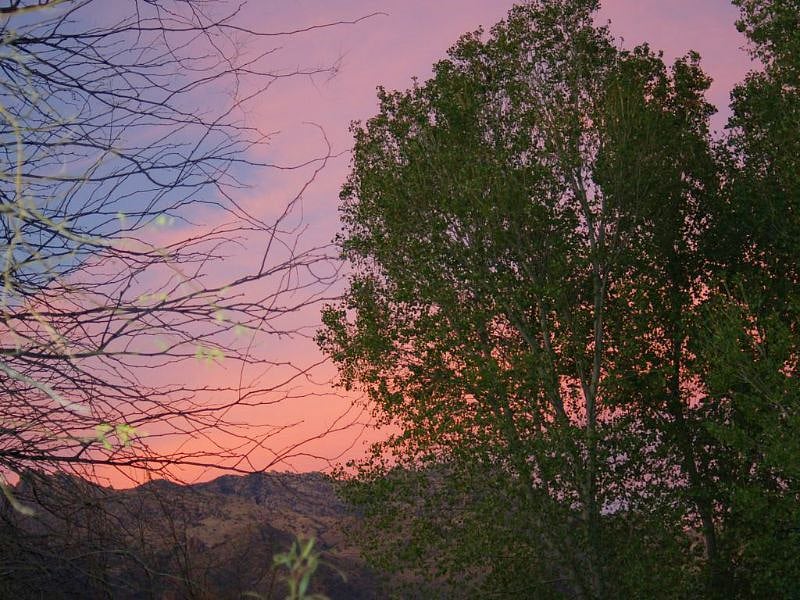 Sunset - Backyard