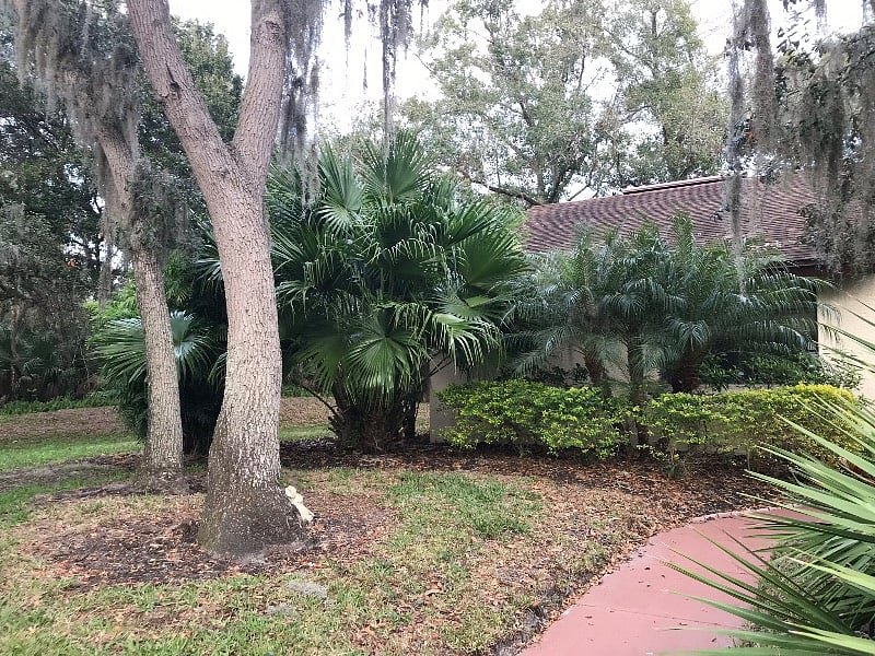 Furnished Finder property 353141_1 photo 15
