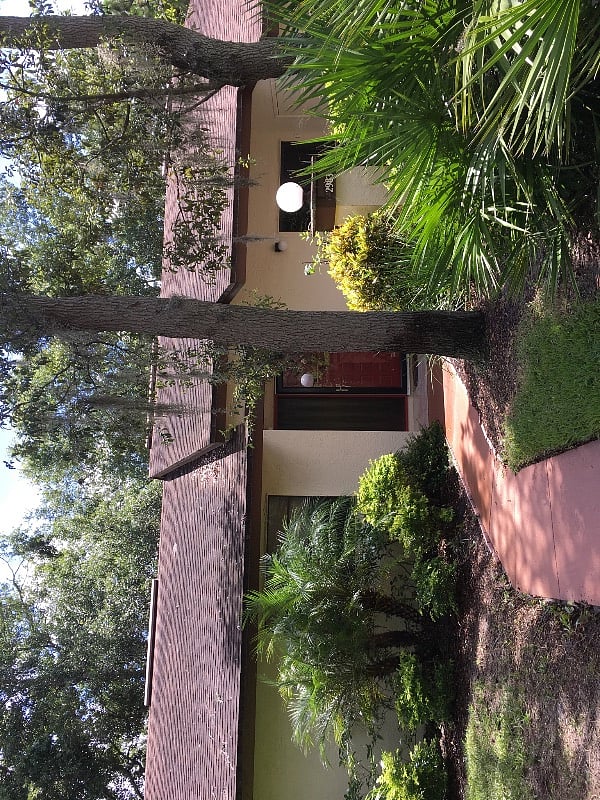 Furnished Finder property 353141_1 photo 14