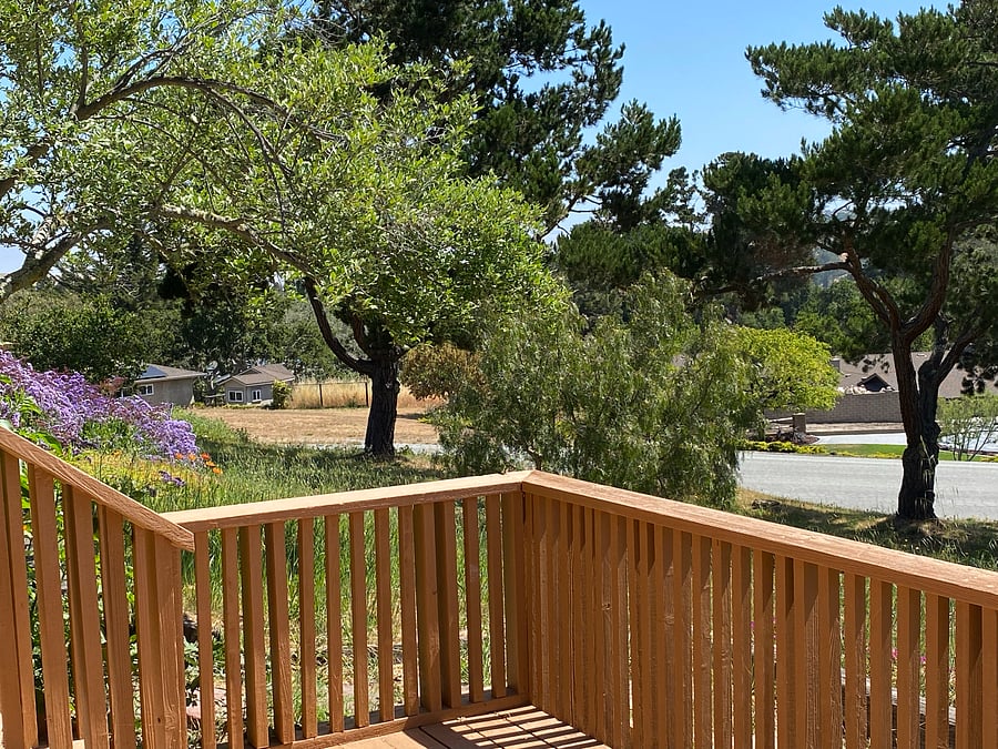 Furnished Finder property 353144_1 photo 6