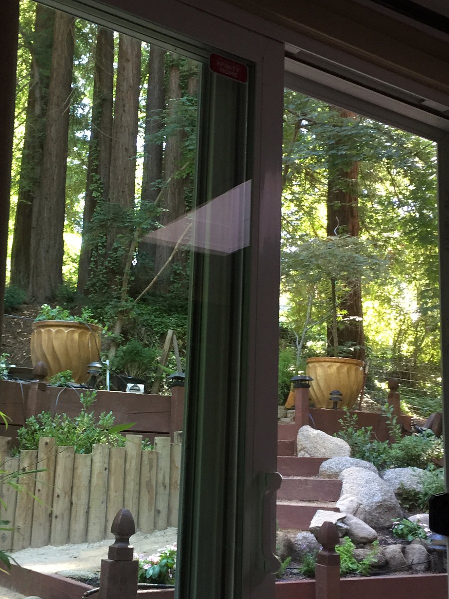 View from the bedroom 